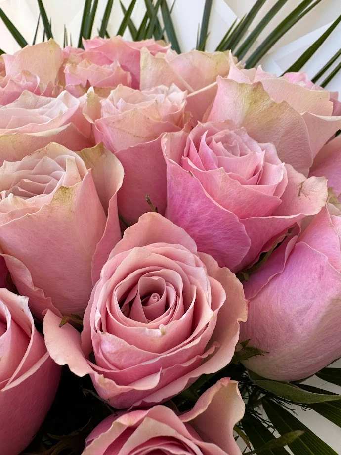 41 Adet Pink Athena ( Açık Pembe) Gül Buketi 