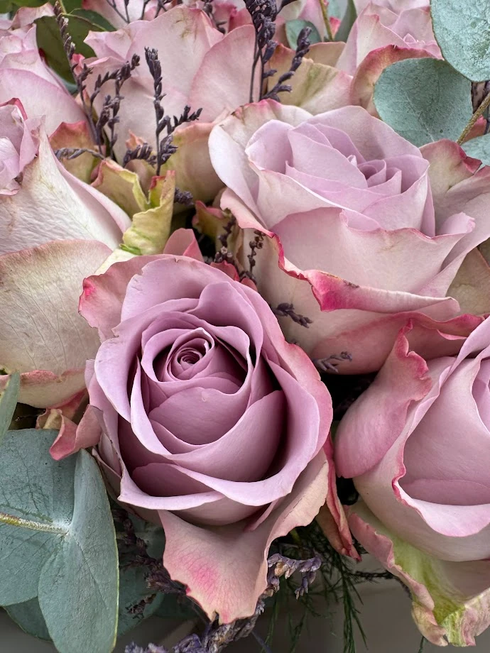 Lila Gül 20' (Memory Lane)