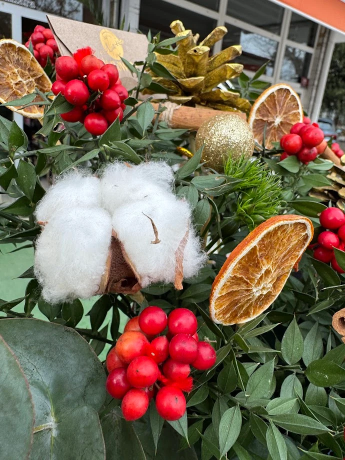 Kokina Kutusu - 1011