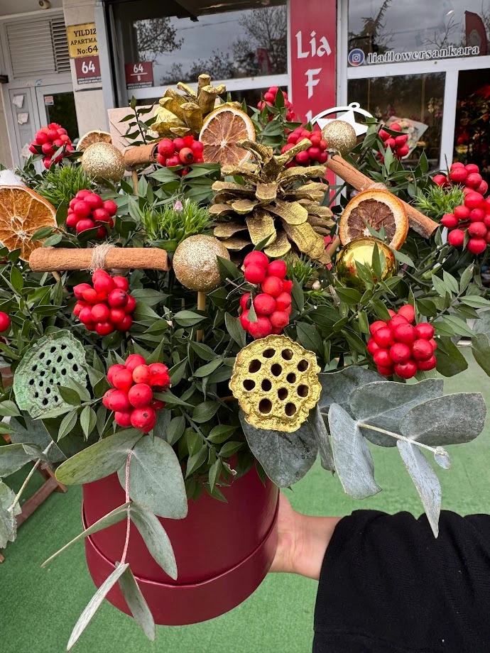 Kokina Kutusu - 1011