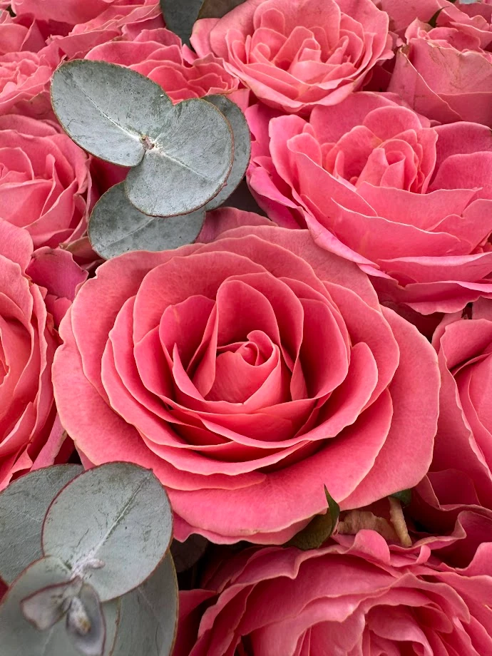 41 Adet Hermosa İthal Gül Buketi - İsteme Çiçeği