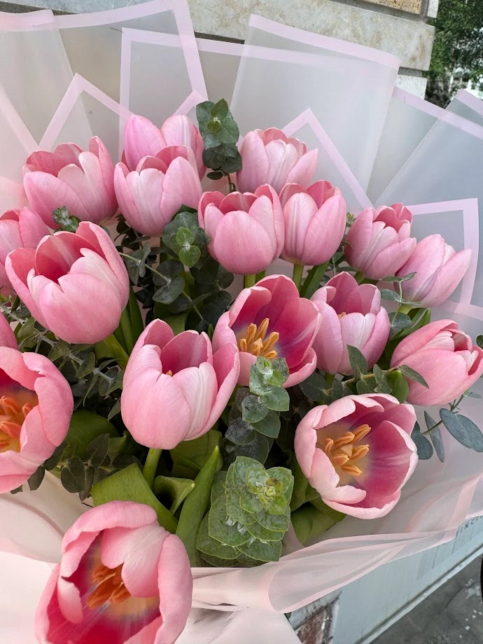 İthal Pembe Lale - 20 Adet