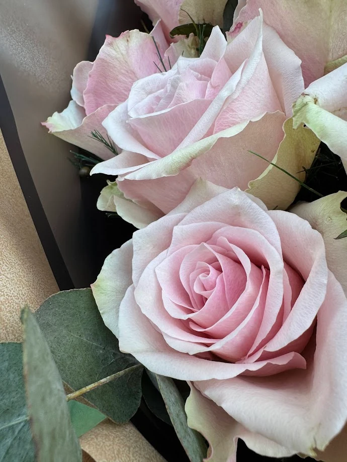 İthal Pembe Gül Buketi 15'