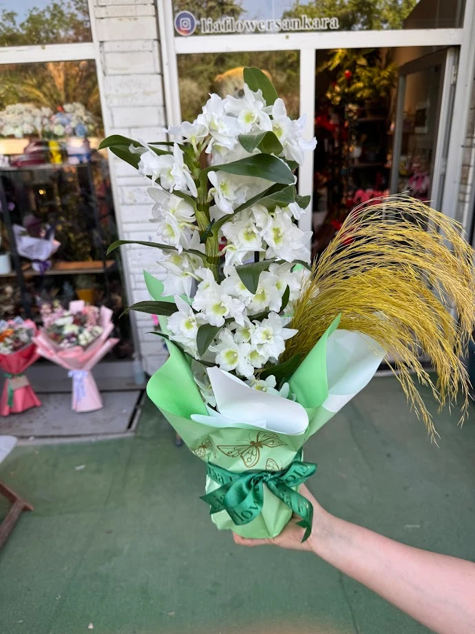 Dendrobium (Beyaz)
