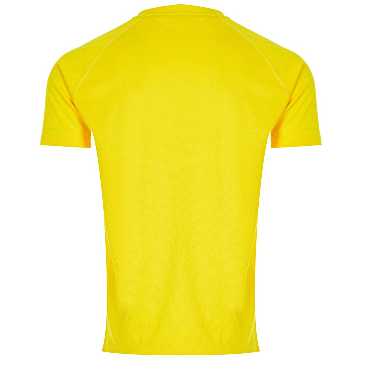 Erkek Sarı Mikro Polyester Performans Antrenman Sporcu Tişört