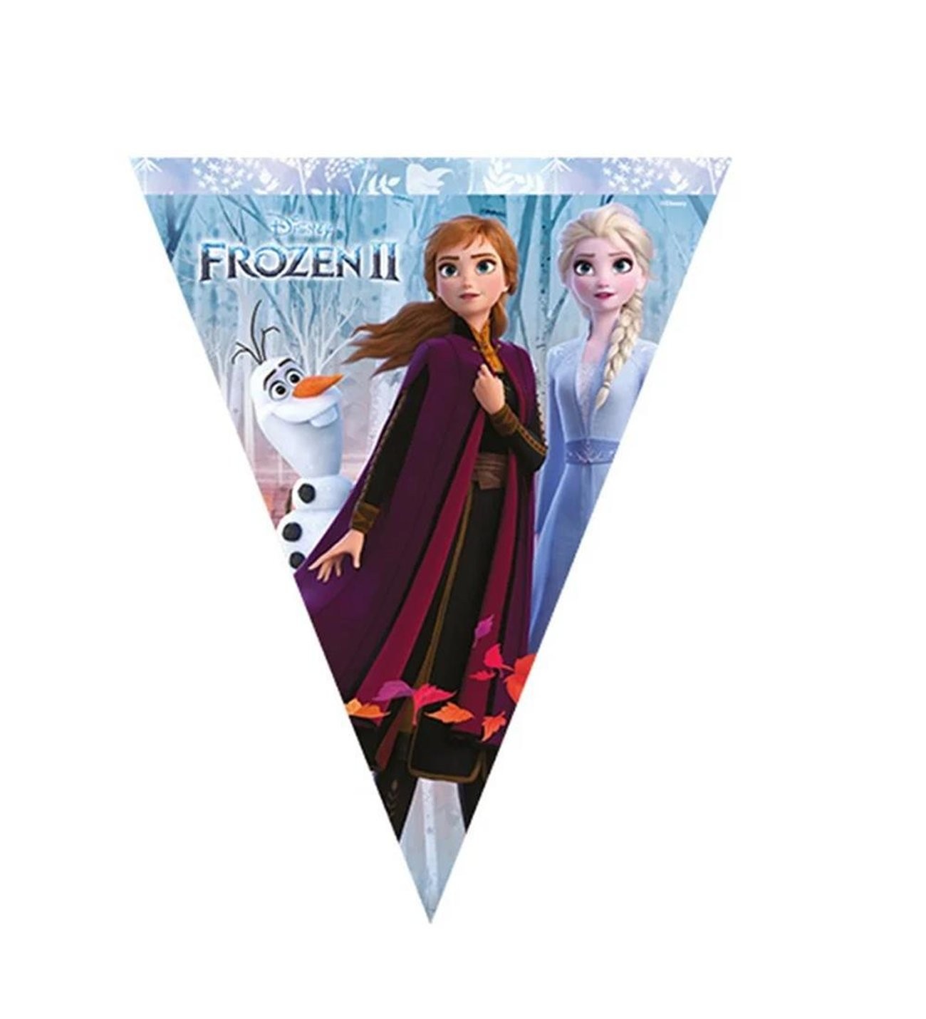 B.E LISANSLI FROZEN 2 BAYRAK SET