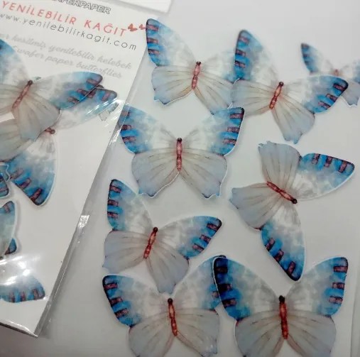 YENİLEBİLİR KELEBEK