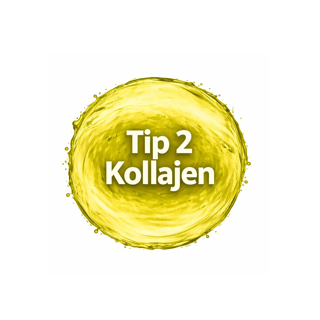 Tip II Collagen