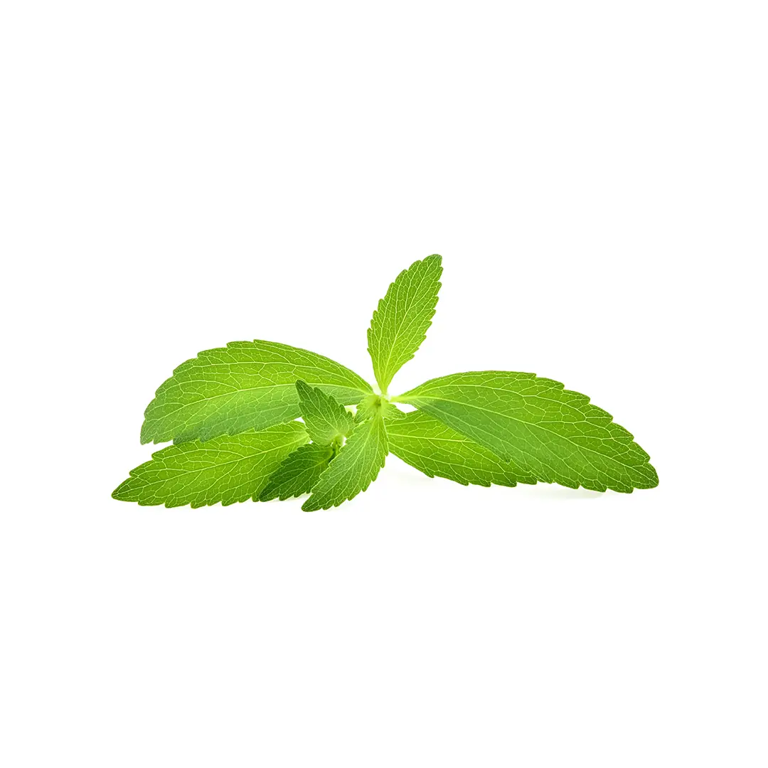 Stevia