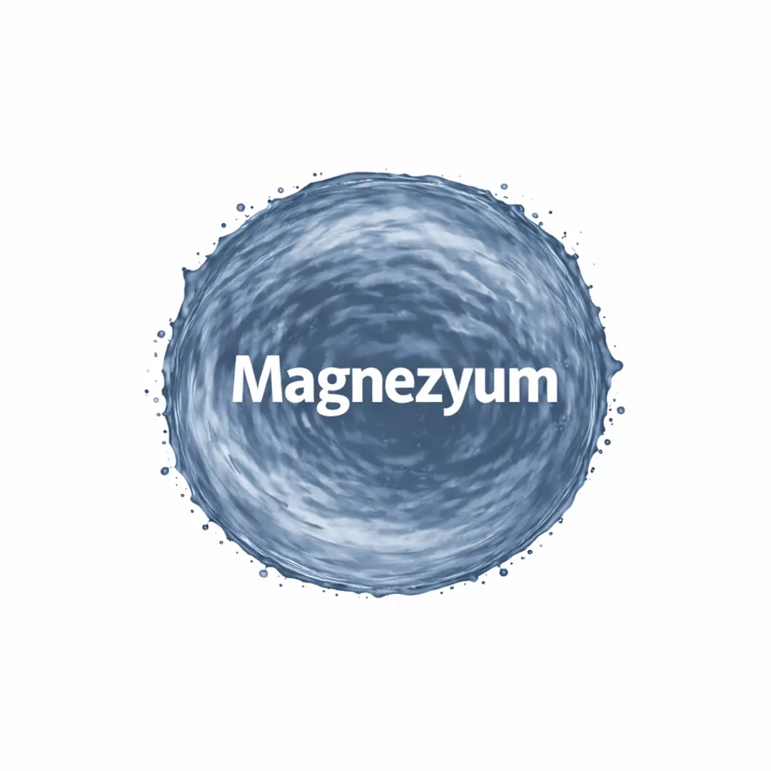 Magnezyum
