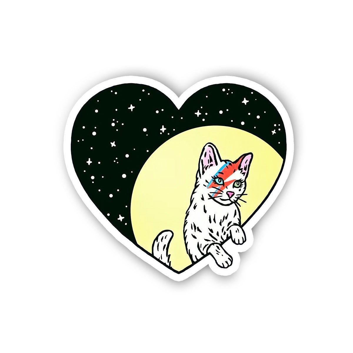 Midnight Cat