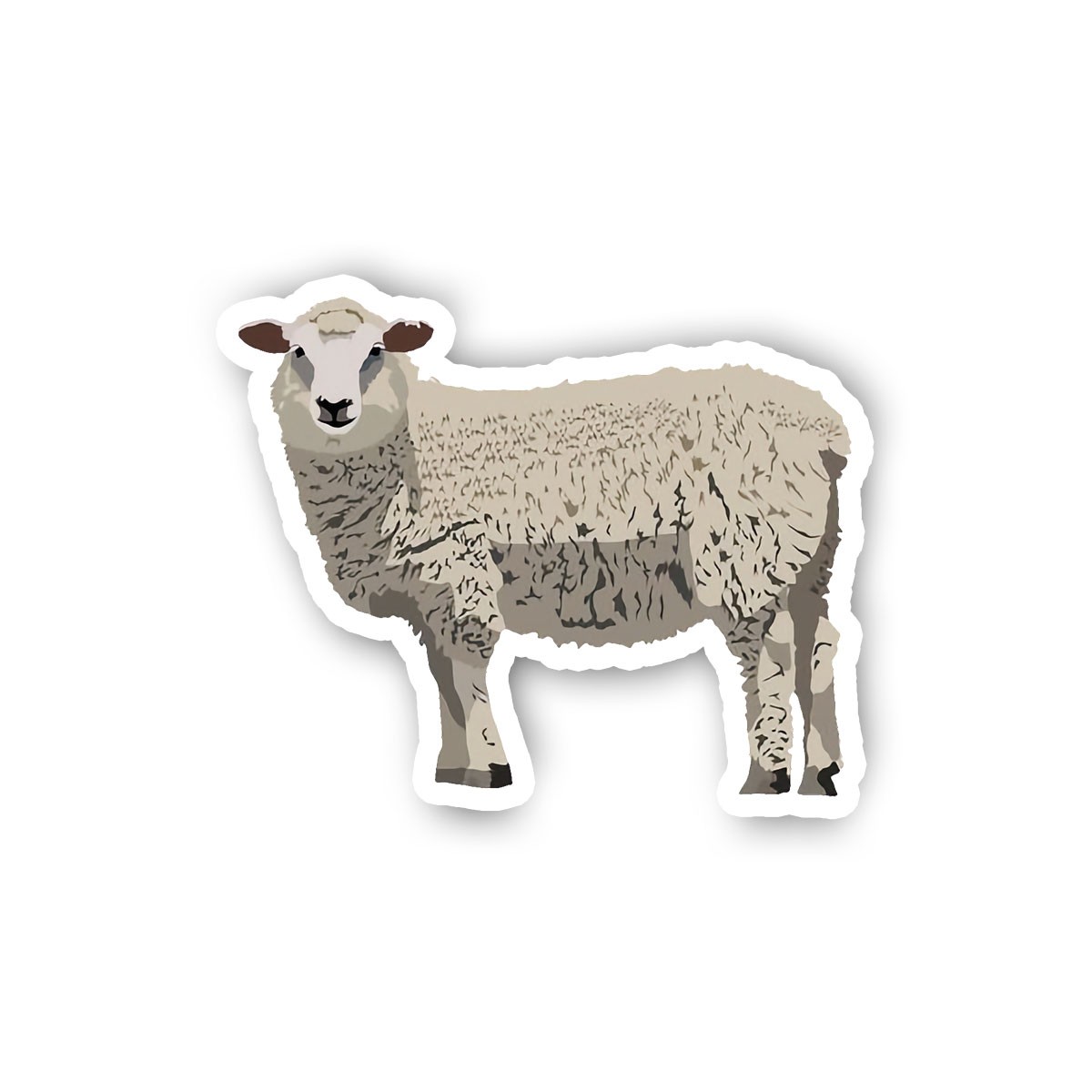 Sheep