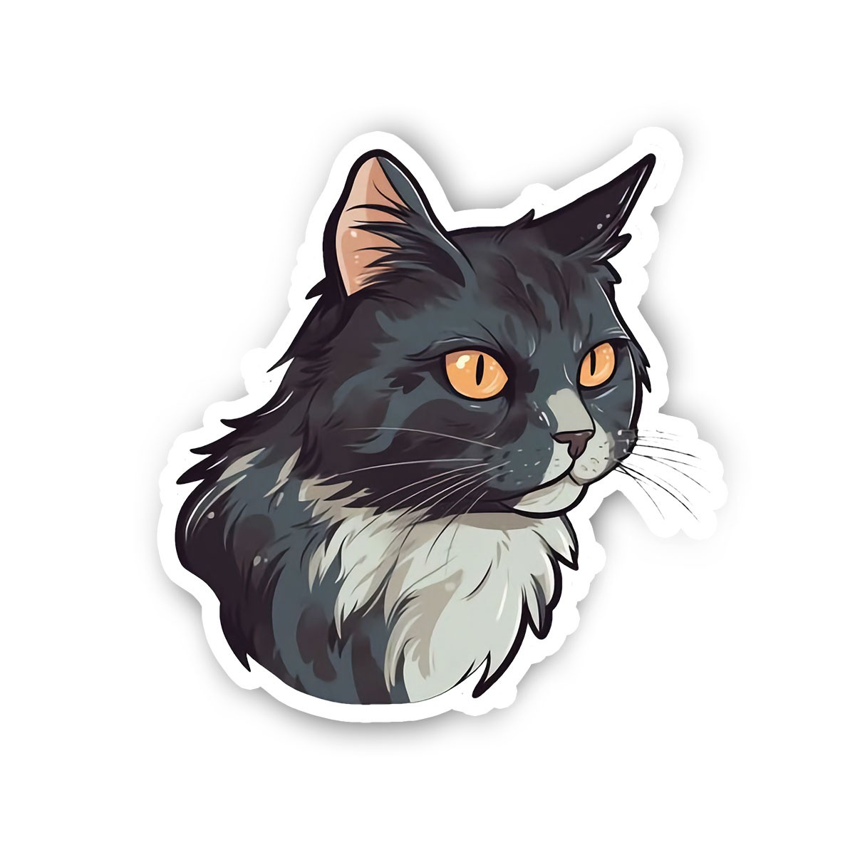 Curious Cat