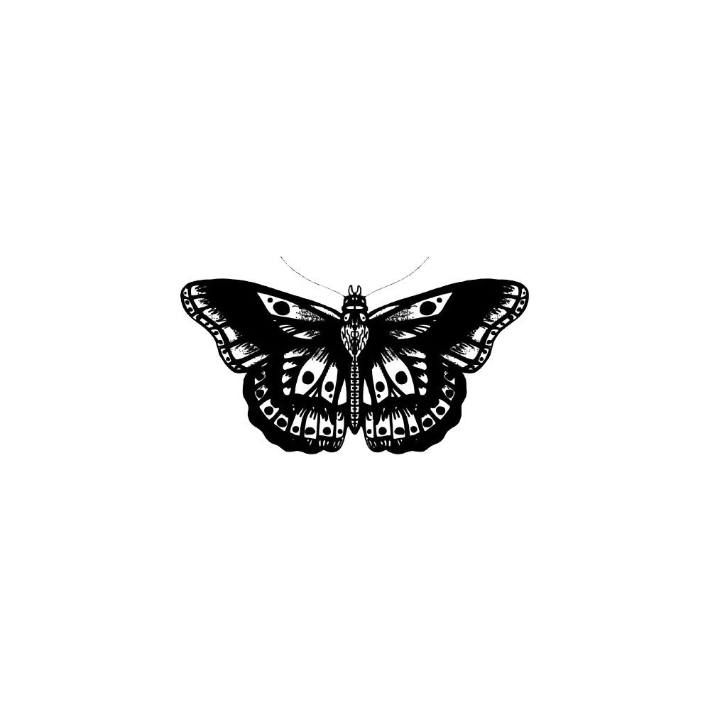 BW Butterfly