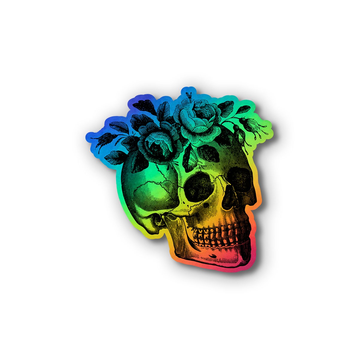 Holo Skull I