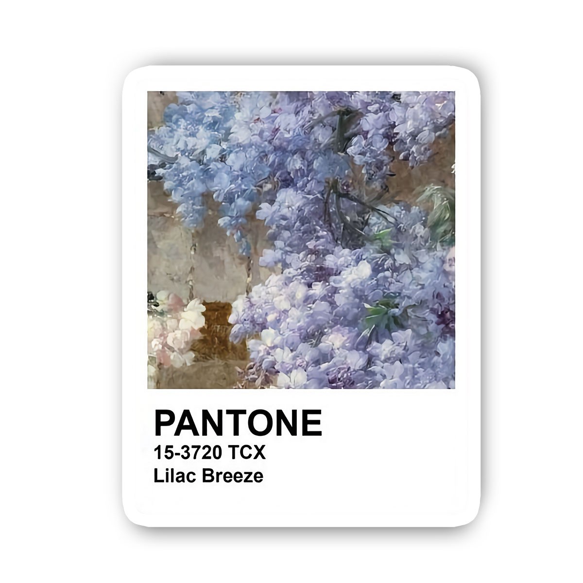P Lilac Breeze