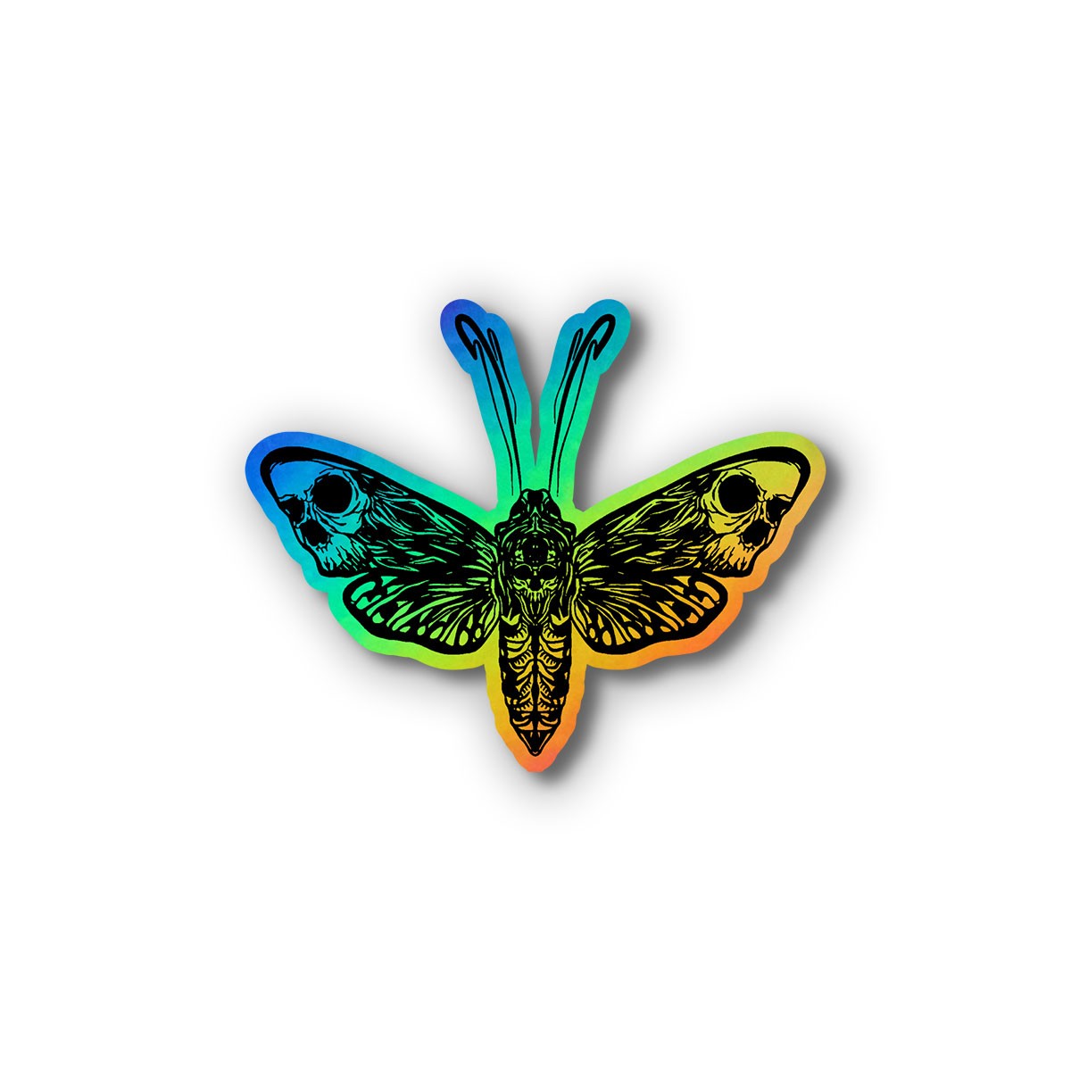 Moth
