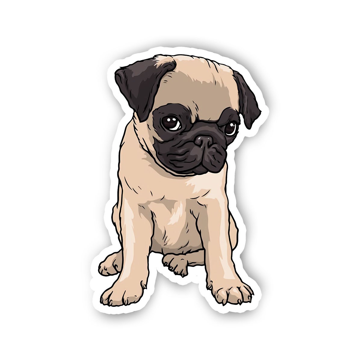 Pug