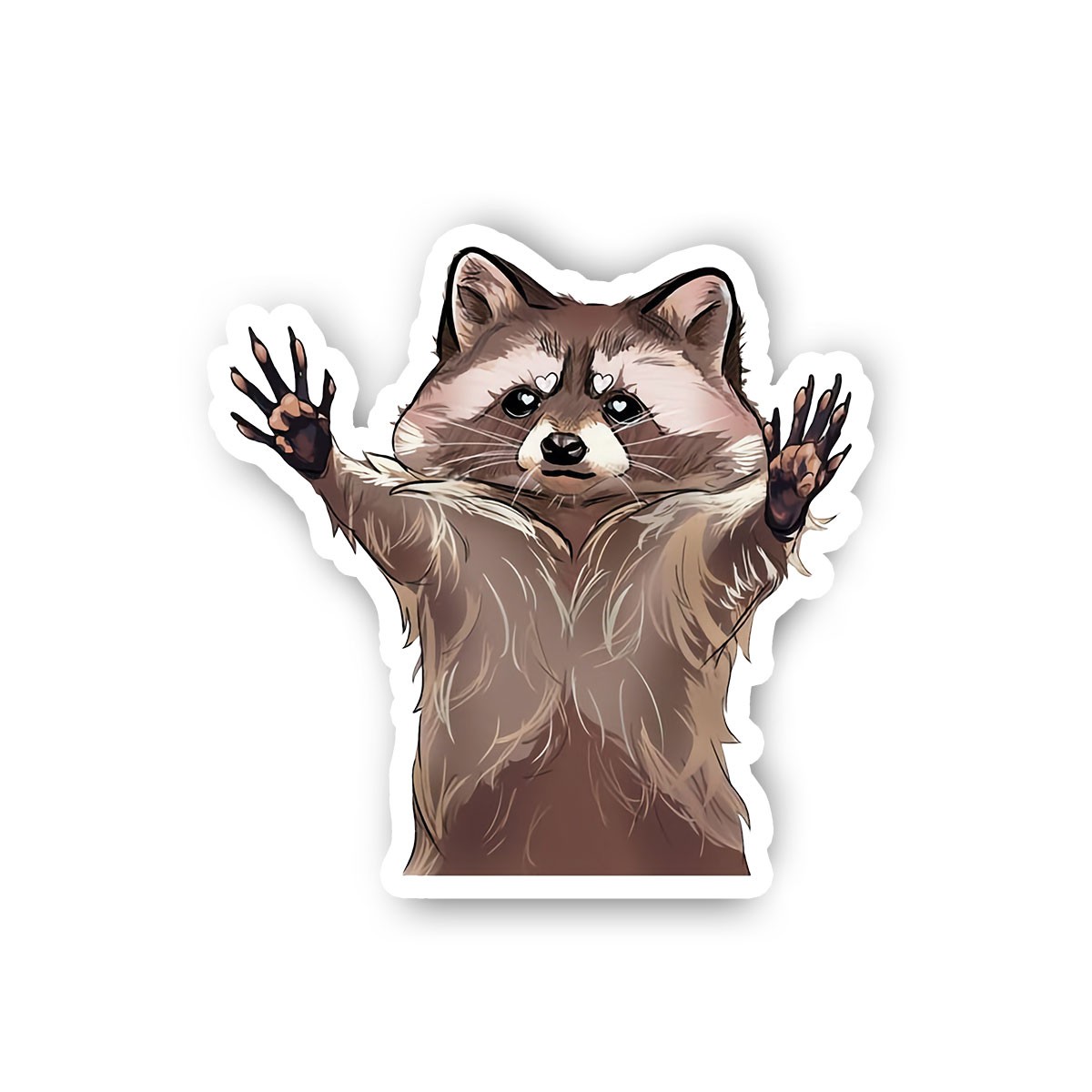 Racoon