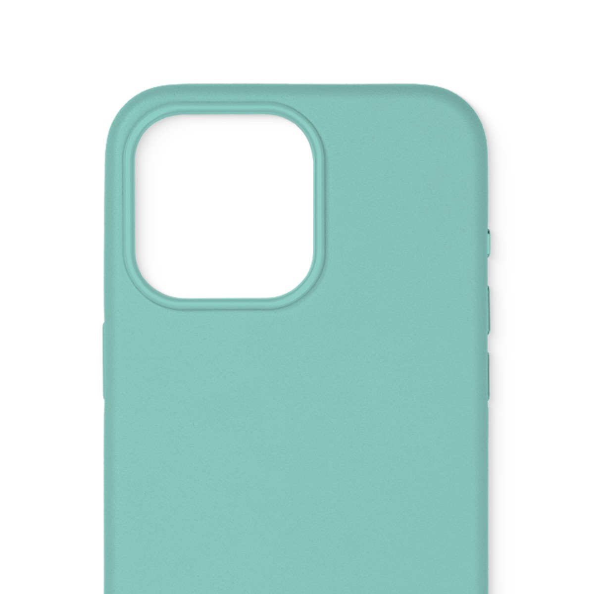 Deri MagSafe Mint