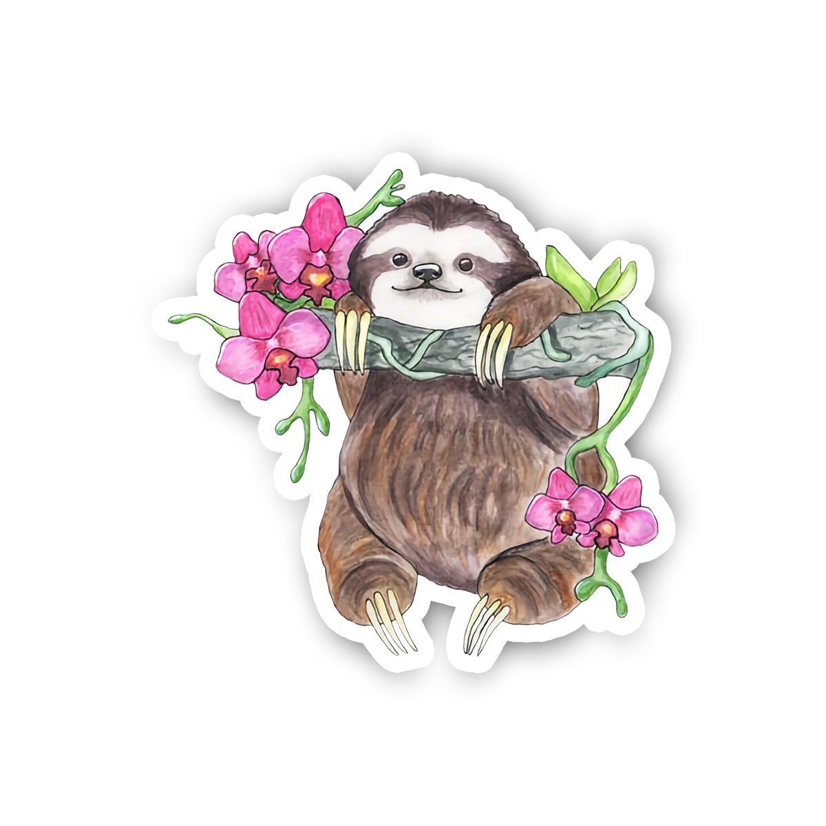 Sloth