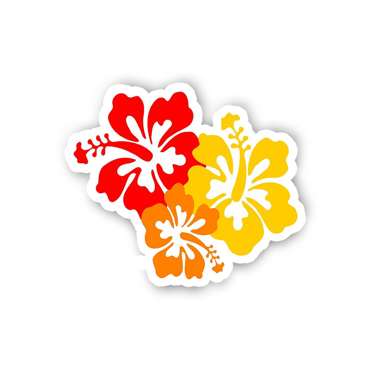 Hibiscus Flower