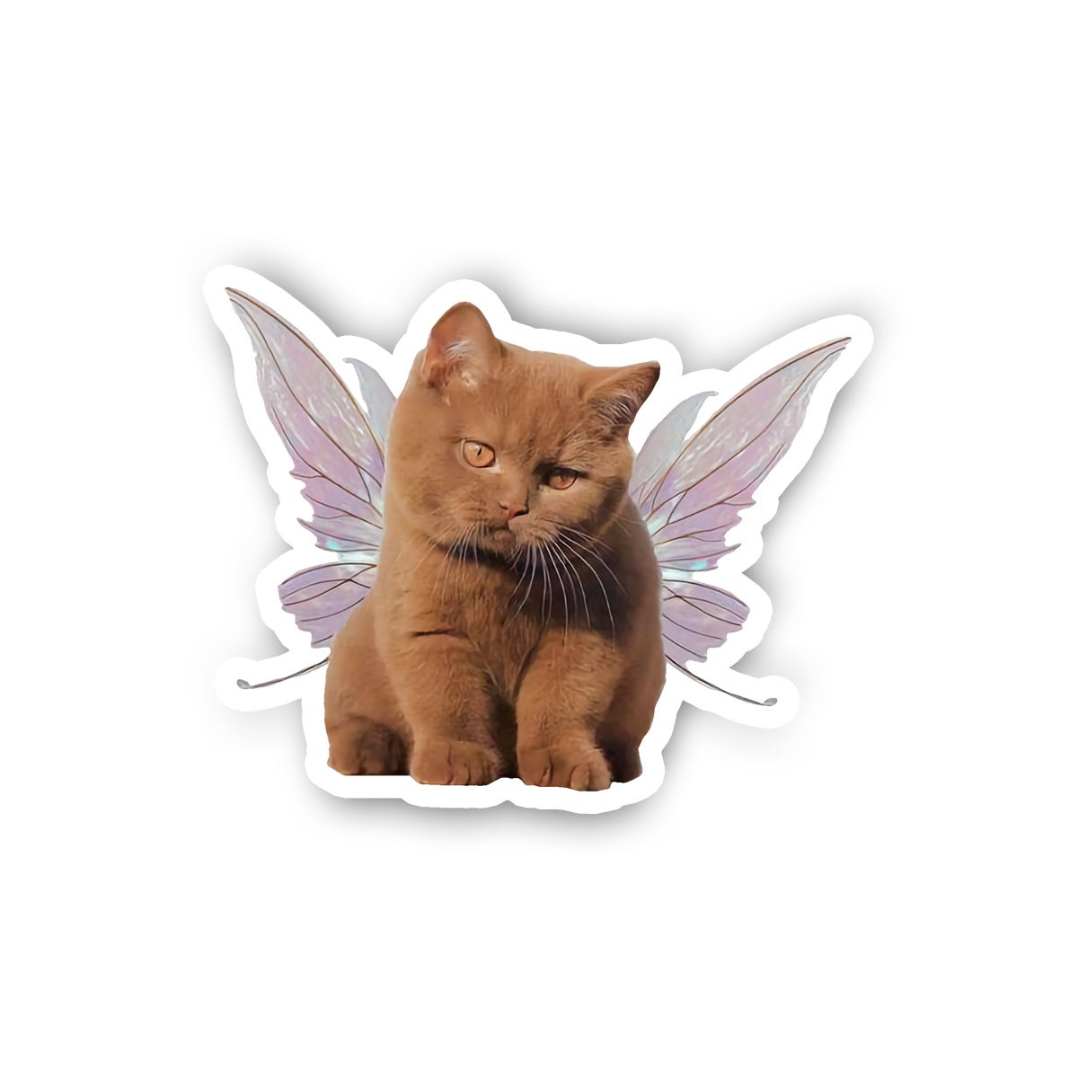 Fairy Cat