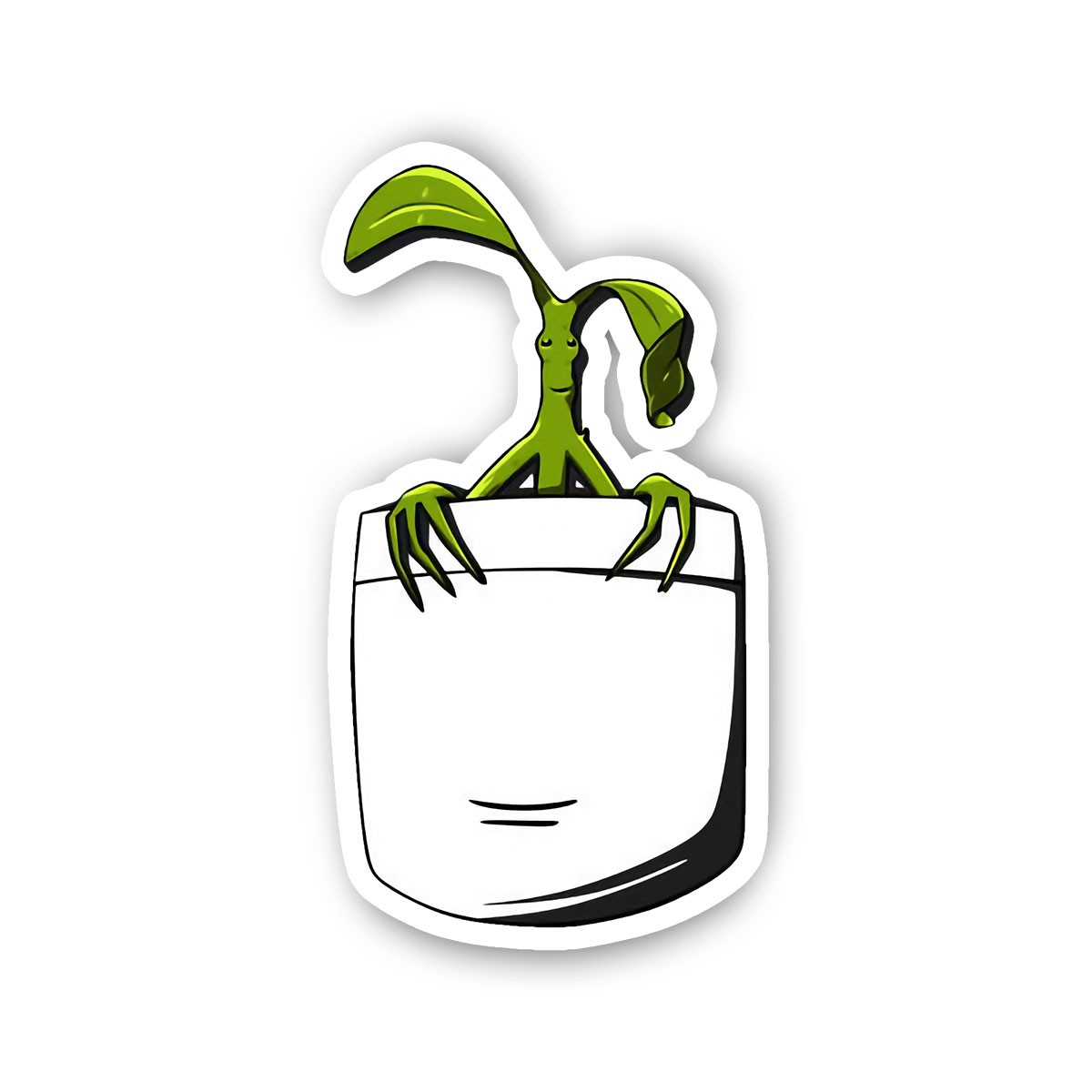 Plant Seed