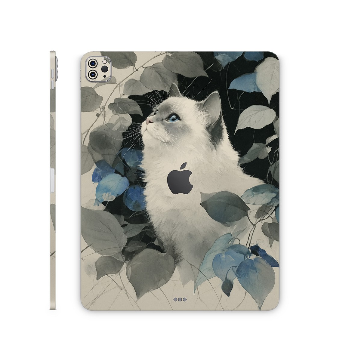 iPad Misty