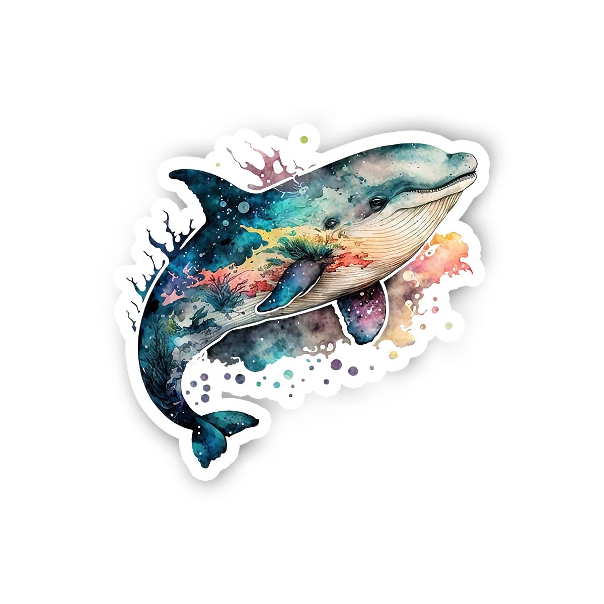 Humpback Whale