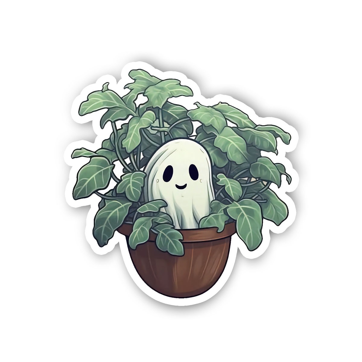 Ghost Plant