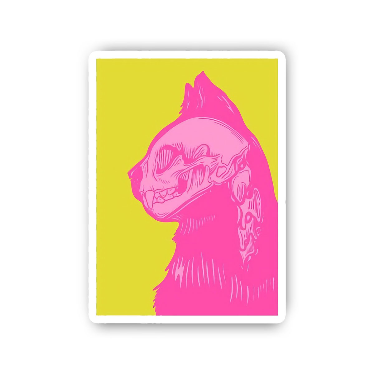 Pink Cat