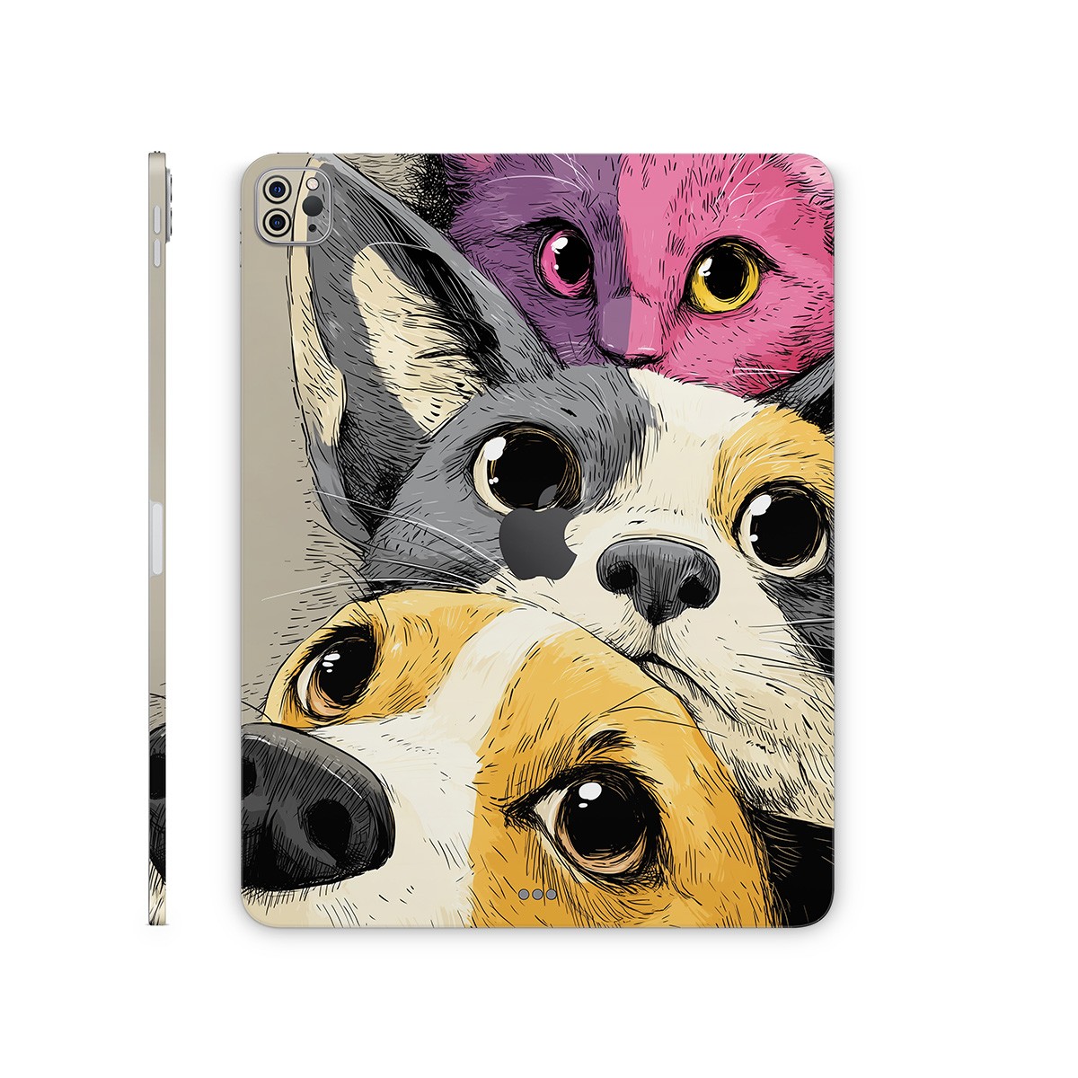 iPad Bloopie