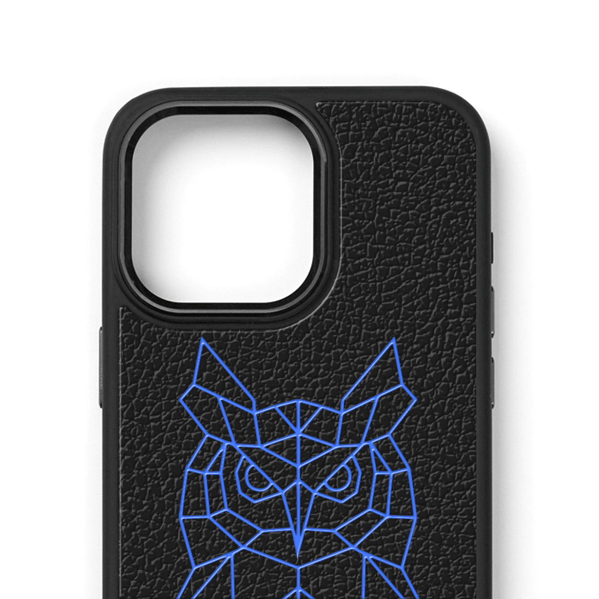 Blue Owl