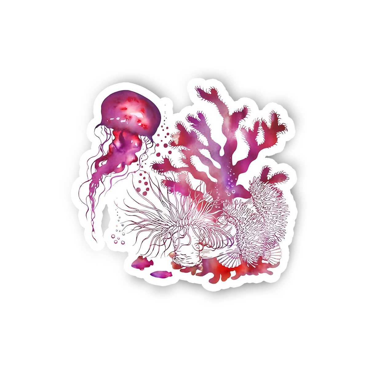Jellyfish