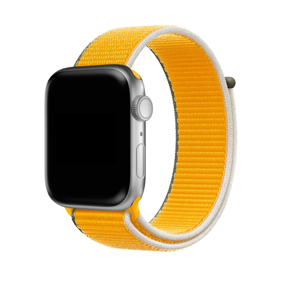 Spor Loop Sun Flower