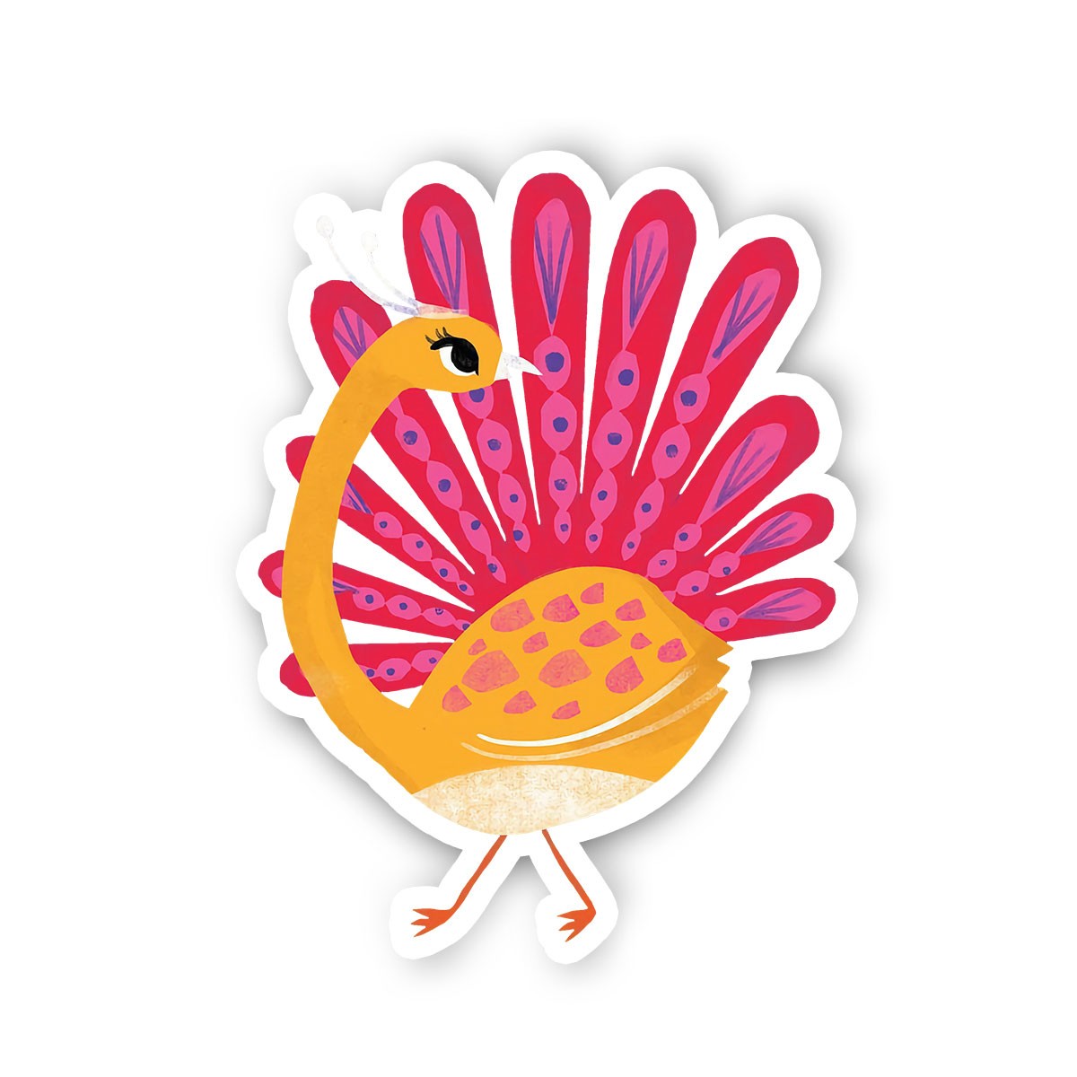 Pink Peacock