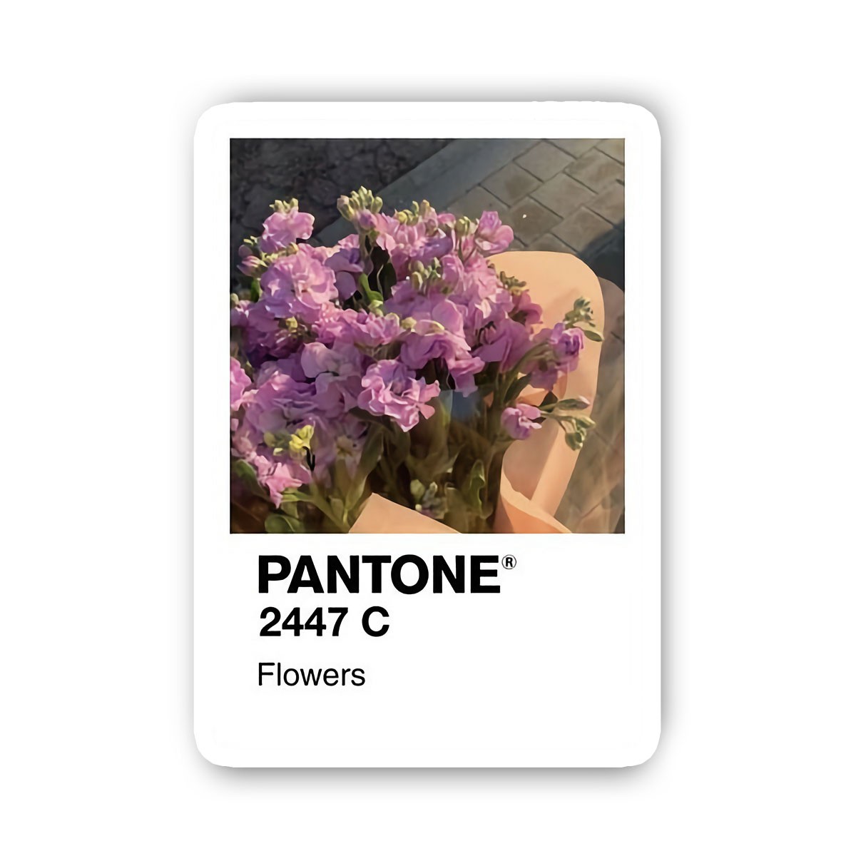P Flowers