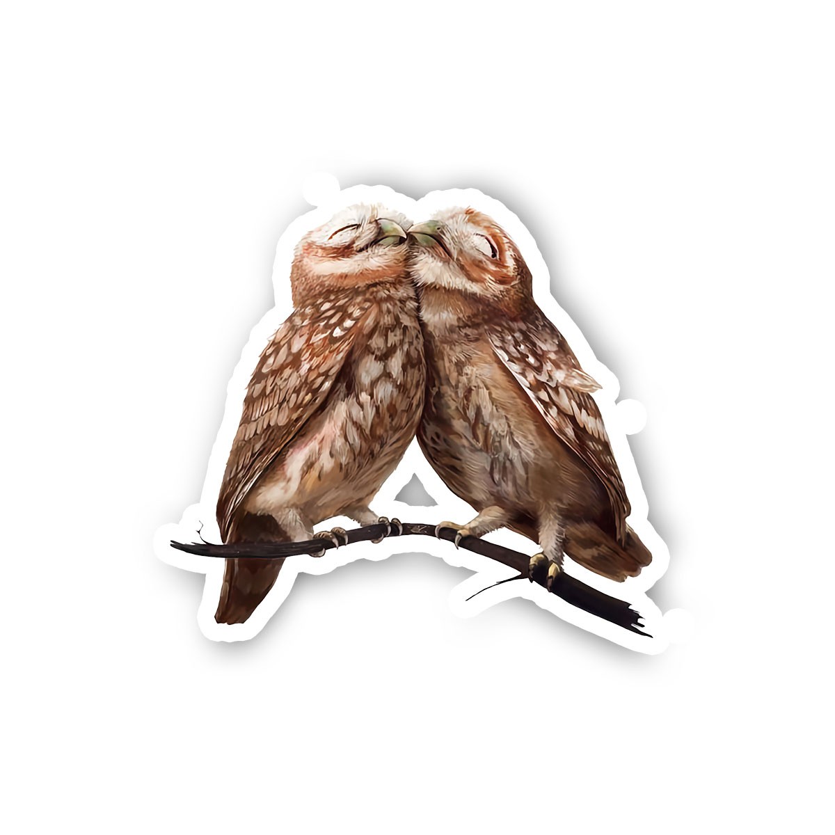 Lover Owls