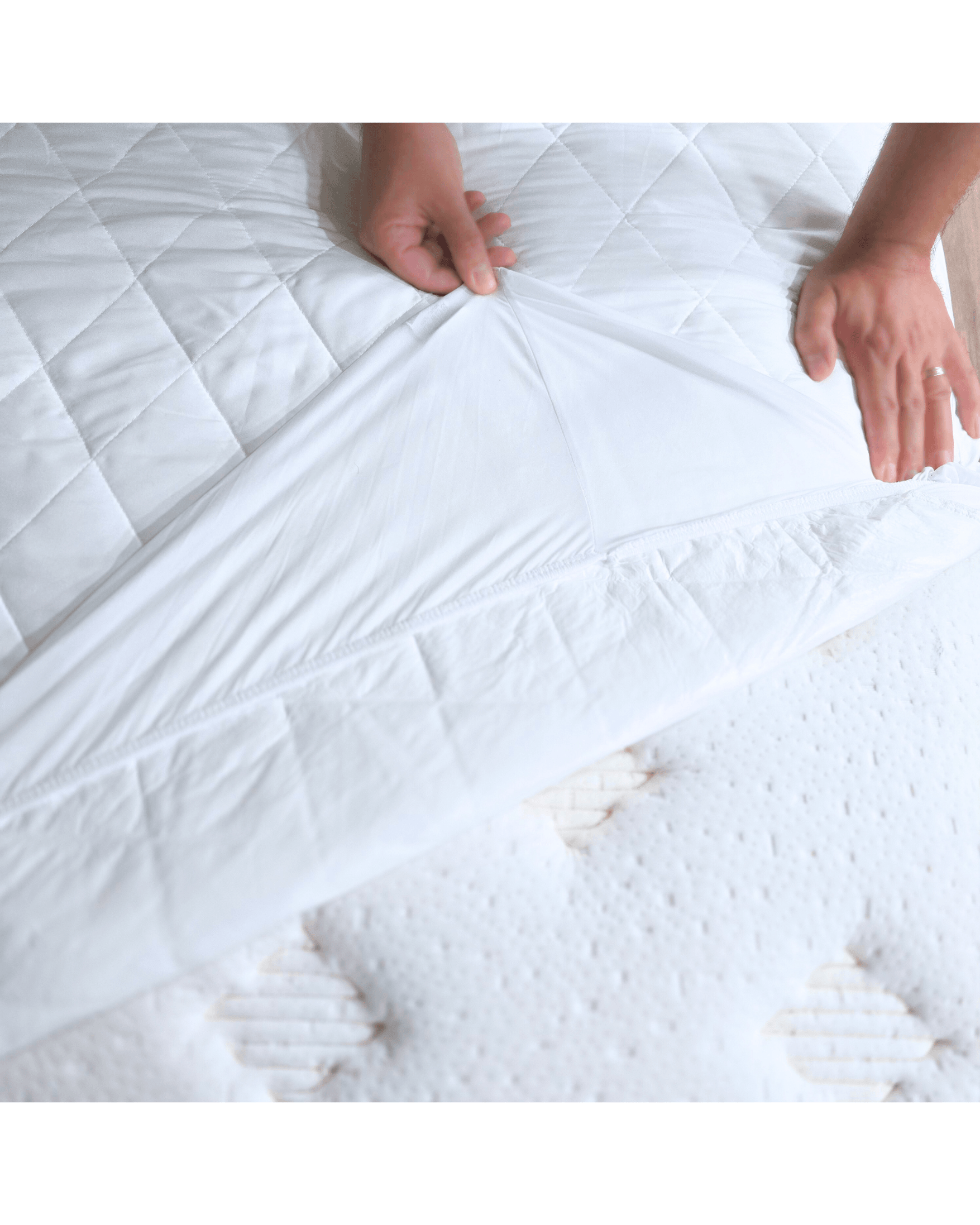 Tek Kişilik Alez | 100x200