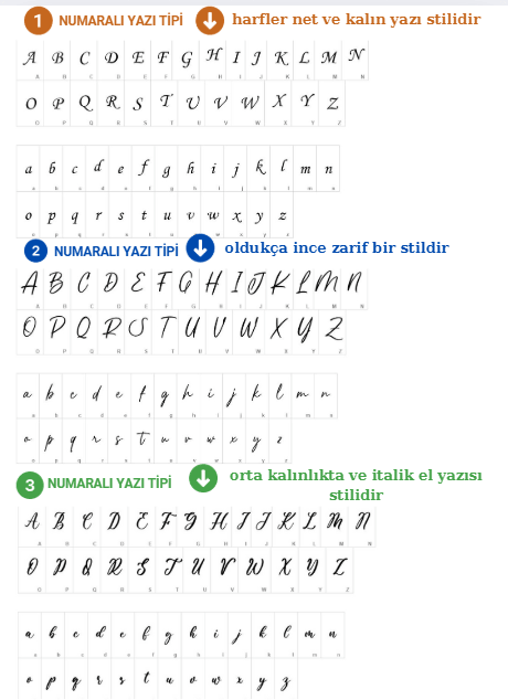 DEV SET - ÖRDEK 