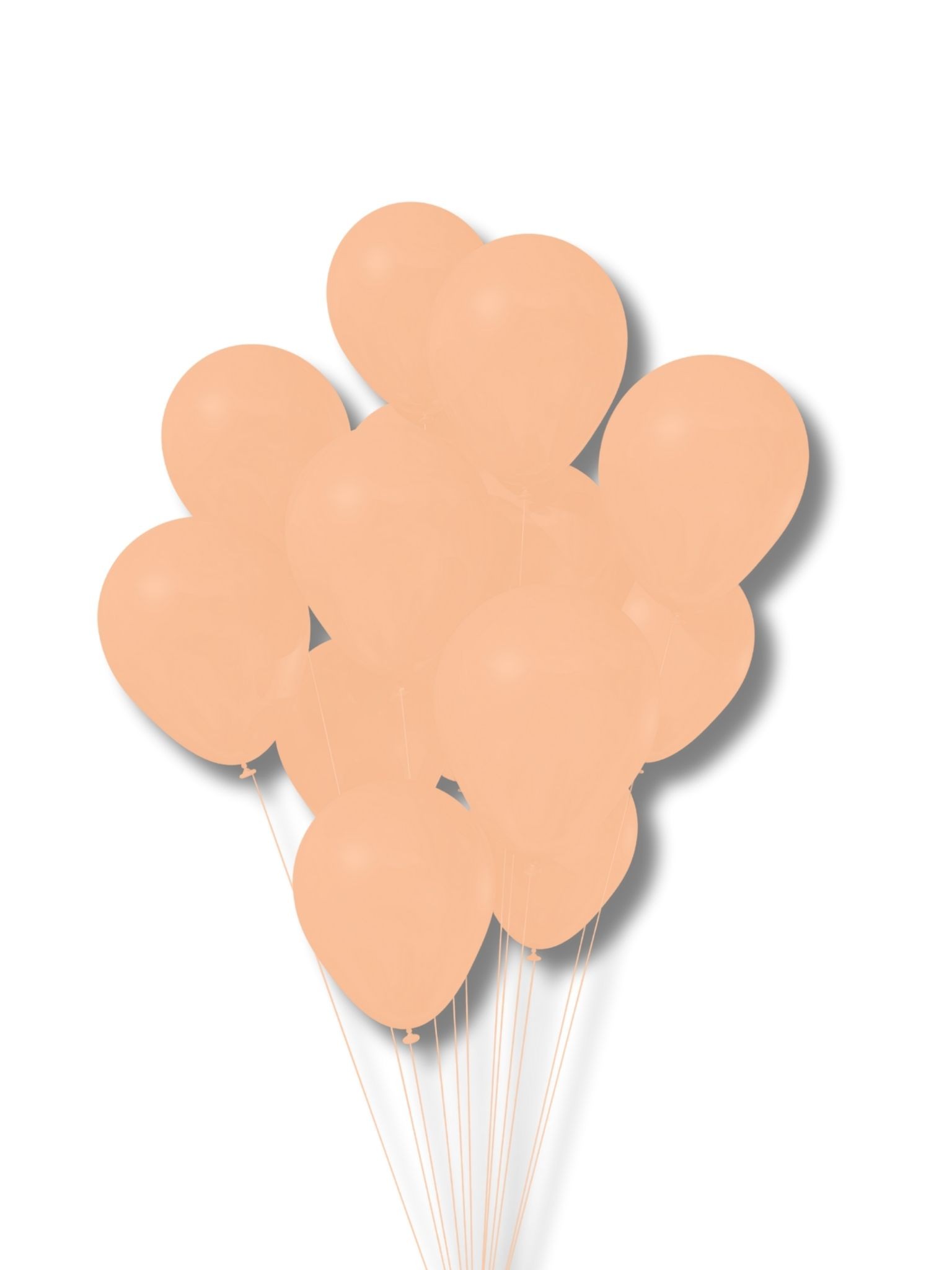 Pastel Balon 12" - Somon