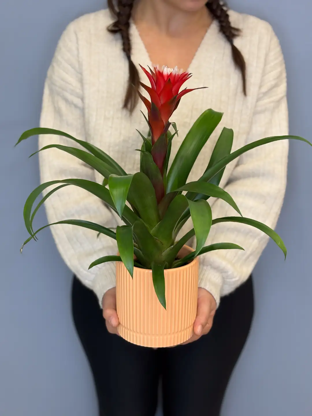 Flowerさま Cozy Nature Bloom Bag Pleksi Çanta – Amavi Flowers