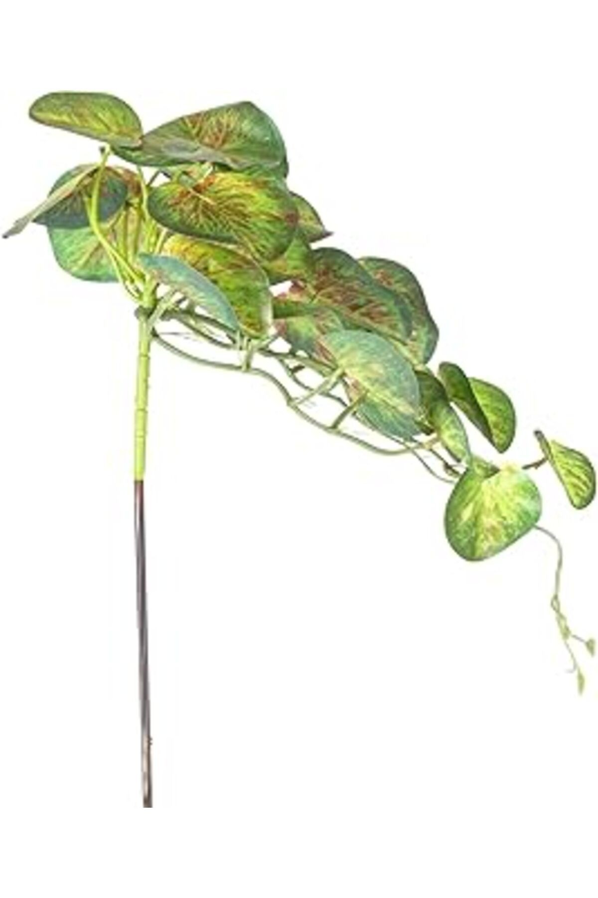 Herdekora Yapay Bitki Salon Sarmaşığı Kızıl-Yeşil 35 Cm.