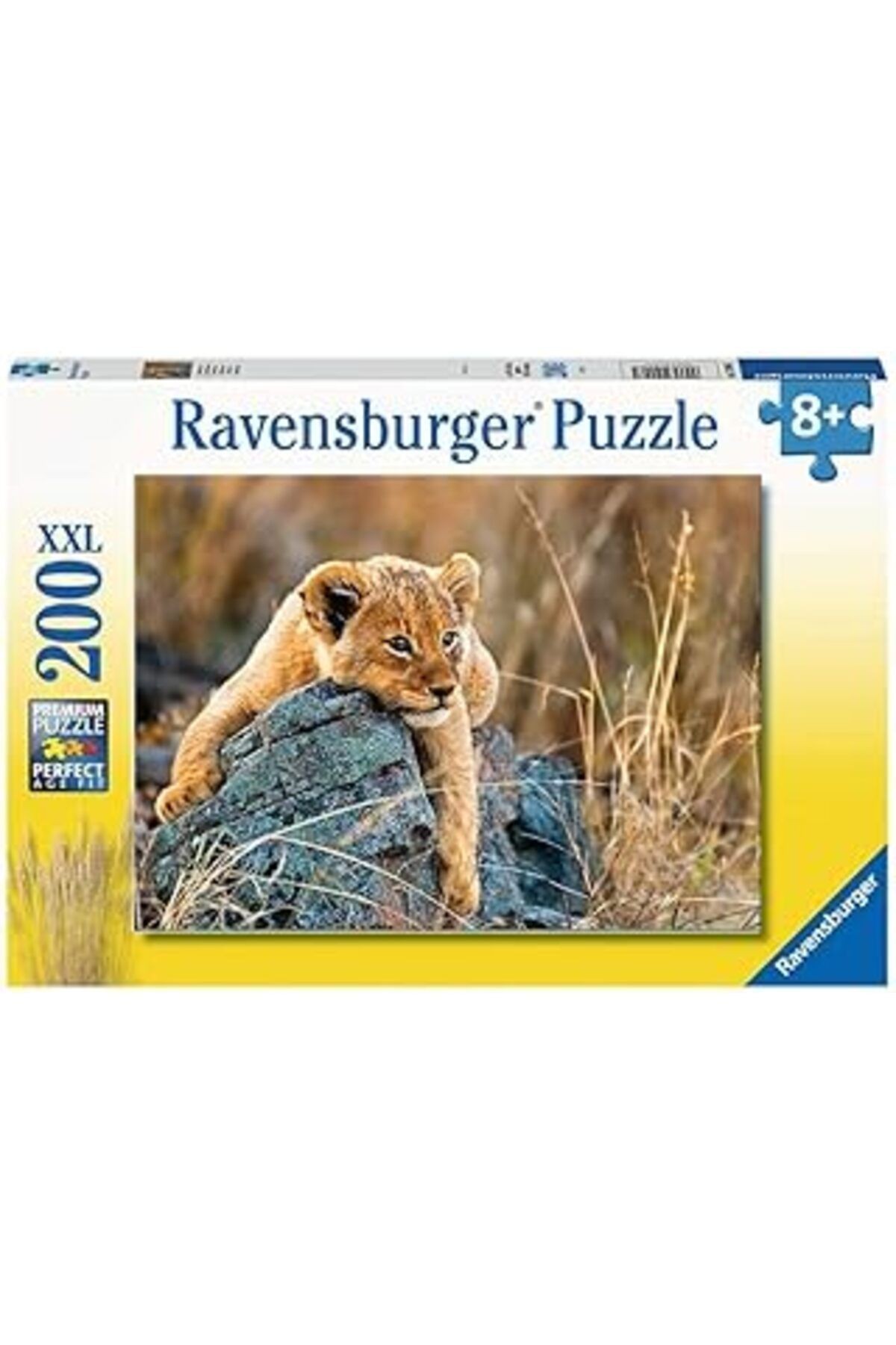 200p Puzzle Aslancık
