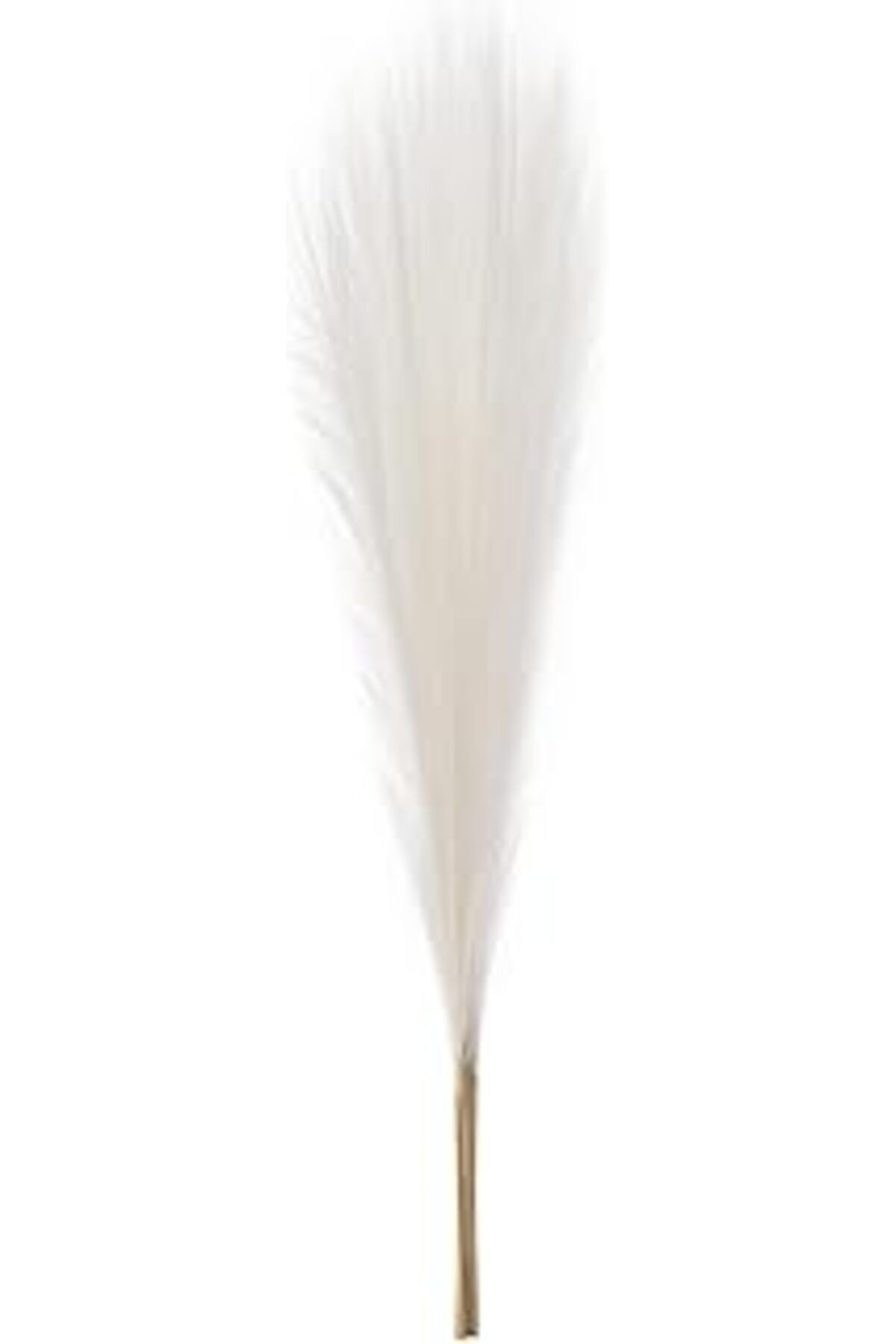 Herdekora Yapay Bitki Pampas Beyaz Dal 108 Cm.