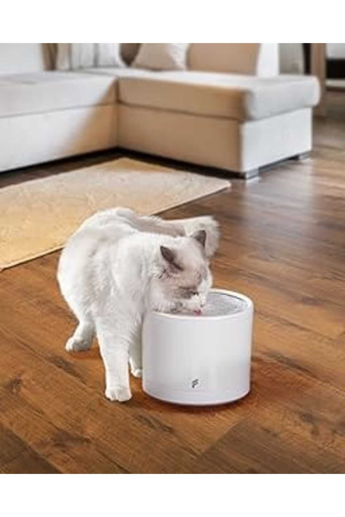 Fonri Kedi Köpek Akıllı Otomatik Su Kabı, 2 Litre, Evcil Hayvan Su Pınarı, Uzaktan, Sesli Kontrol