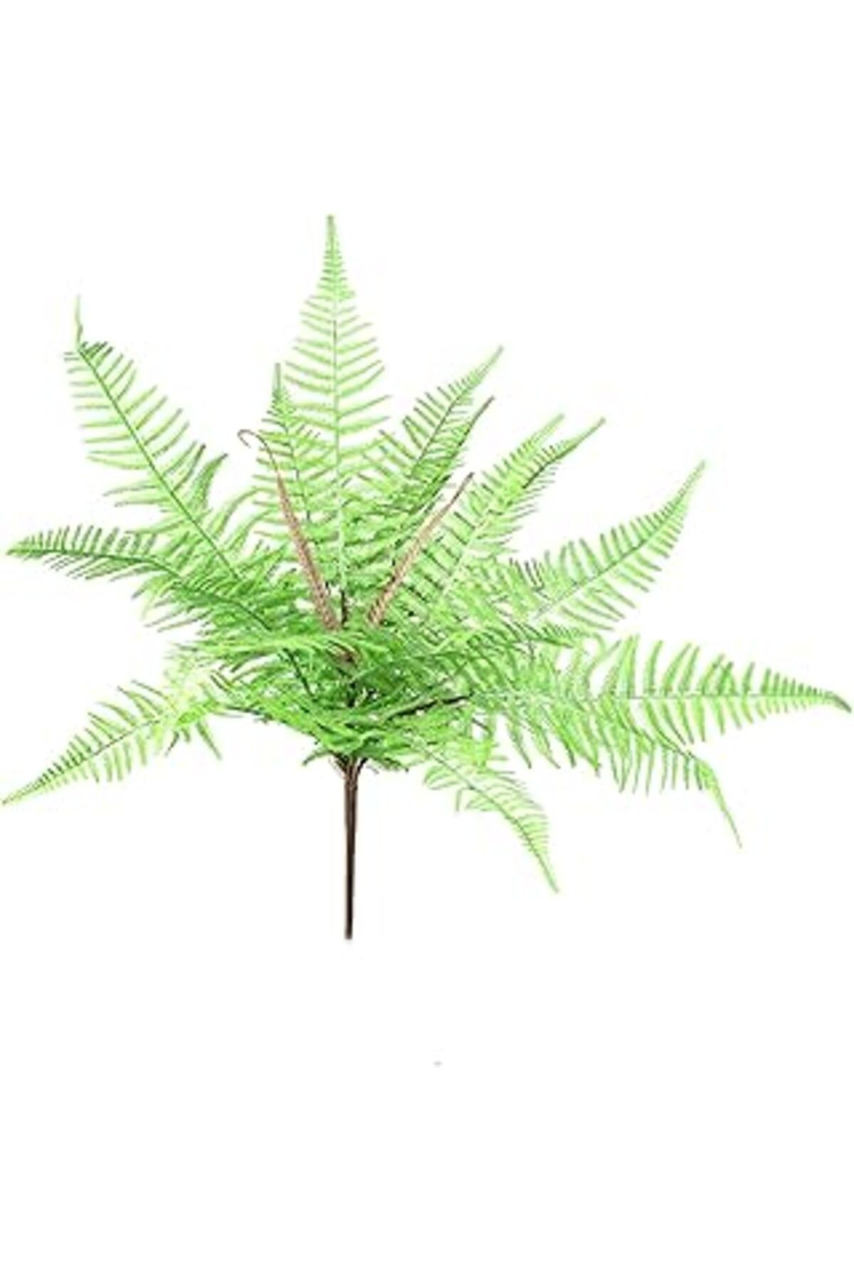 Herdekora Yapay Bitki Fujer/eğrelti Otu 60 Cm.