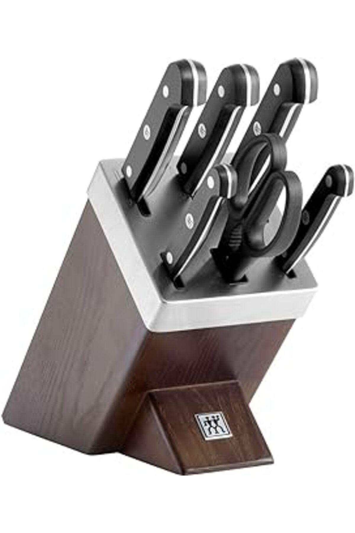 Zwilling Kendinden Bilemeli Bıçak Bloklu 6 Parça Bıçak Seti