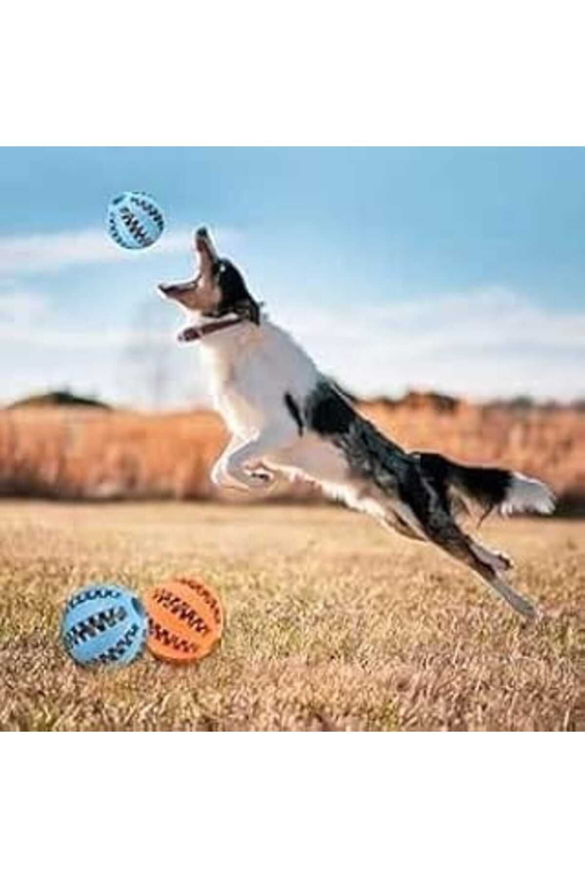 (2 Adet) Mama Hazneli Köpek Eğitim Ve Oyun Topu Doğal Kauçuk Eğlence Topu Parçalanmaz Dayanıklı Köp
